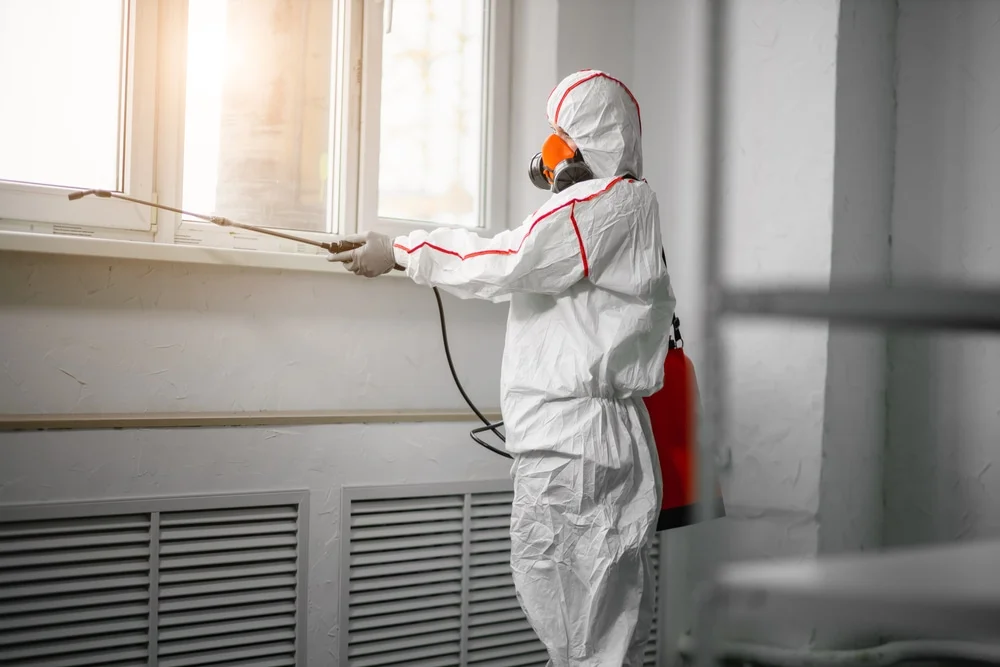 Professional mold remediation services in Fleming, GA